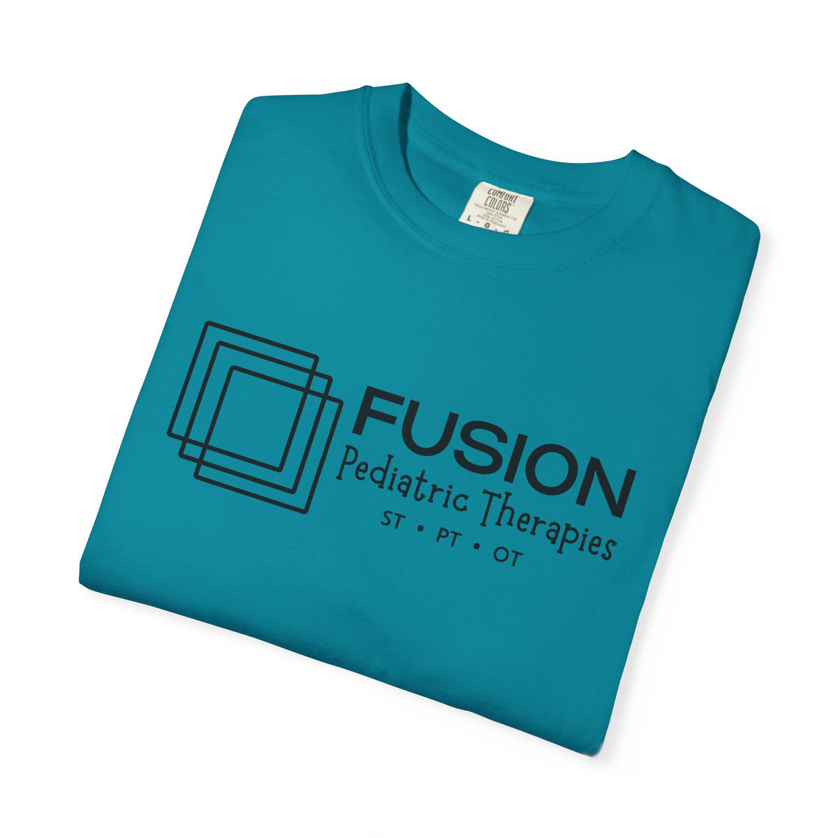Classic FPT Tee | All Black Logo