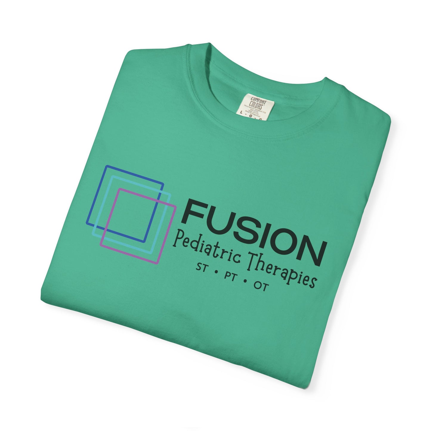 Classic FPT Tee | Black Logo