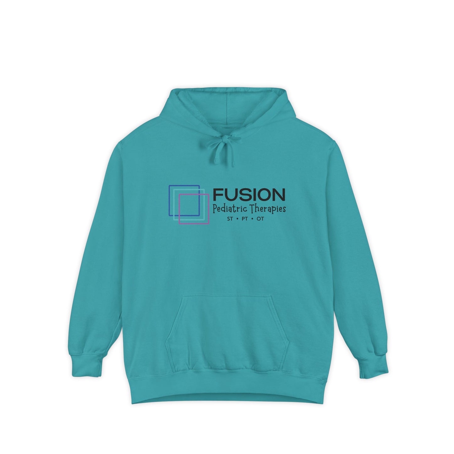 Classic FPT Hoodie | Black Logo