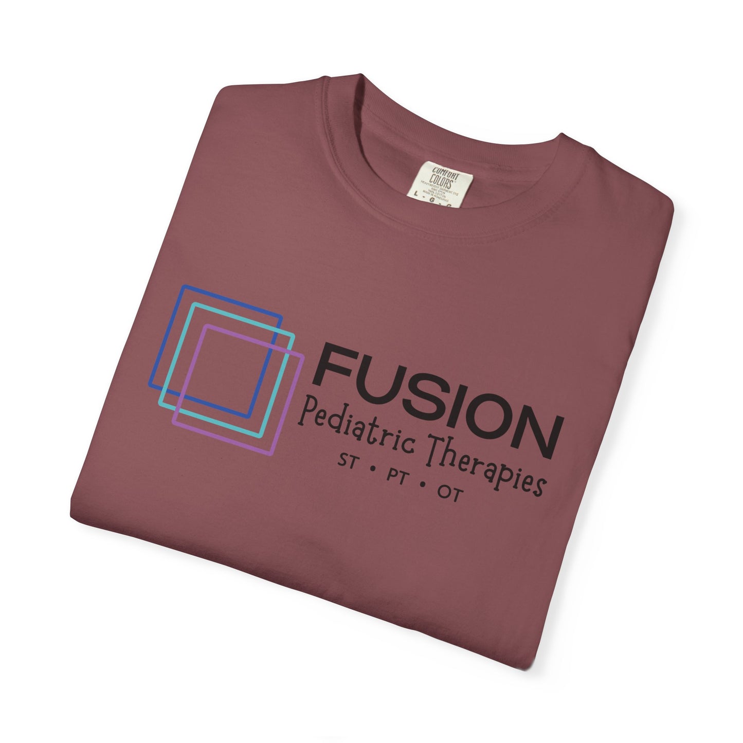 Classic FPT Tee | Black Logo