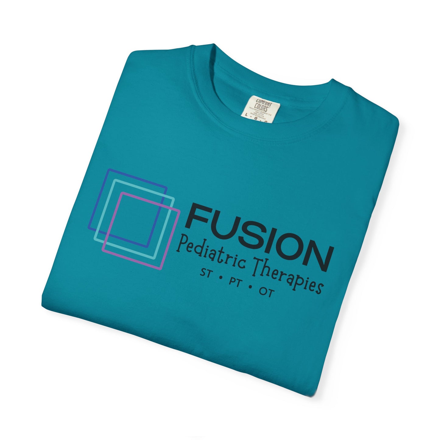 Classic FPT Tee | Black Logo
